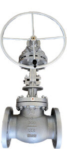 Globe Valves by Audco Italiana