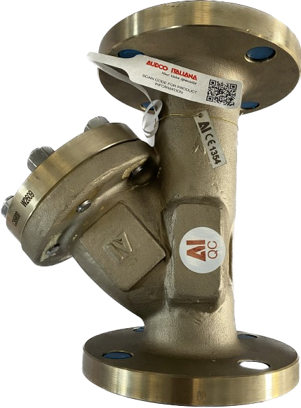 Cast Y Strainers by Audco Italiana